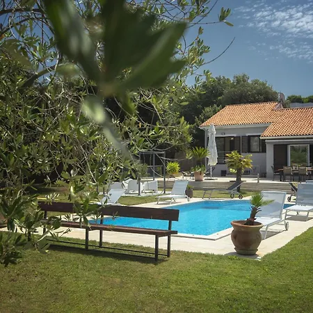 Contessa Del Mar In For 7 People Only 200 Meters From The & Pet Friendly * Póla